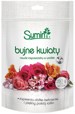 Domyślna nazwa