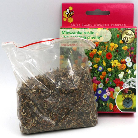 Mieszanka roślin jednorocznych na ostatnią chwilę – 125 g Legutko