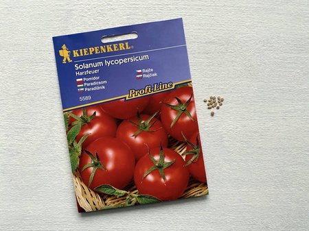 Pomidor Harzfeuer - Kiepenkerl