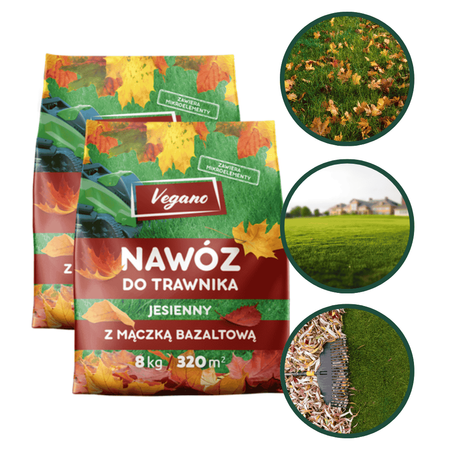 Domyślna nazwa