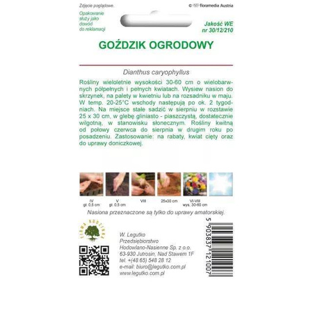 Goździk ogrodowy – mix – 0,5 g Legutko