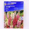 Naparstnica Excelsior-Hybriden Digitalis purpurea