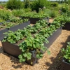 Podwyższona Grządka GPPS – Szara 150x75x30 cm – Klasika Garden
