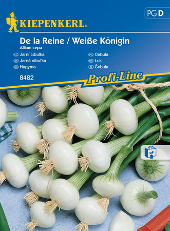 Cebula De la Reine ,,Weiße Königin ‘’ – Kiepenkerl