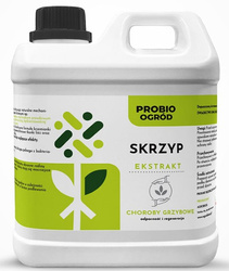 Skrzyp 2L– odporność na choroby grzybowe– ProbioOgród