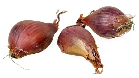 Cebula szalotka czerwona Red Sun 250 g