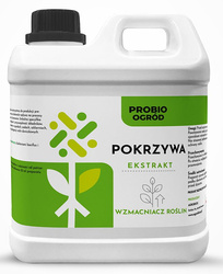 Domyślna nazwa