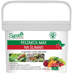 Domyślna nazwa