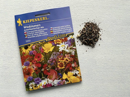 Mieszanka kwiatów polnych - Kiepenkerl