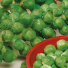 Brukselka Roodnerf Brassica oleracea var. gemmifera