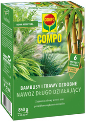 Domyślna nazwa