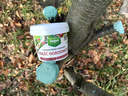 Maść ogrodnicza 350 g