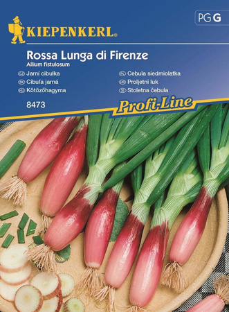 Cebula siedmiolatka Rossa Lunga di Firenze