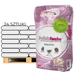 Domyślna nazwa