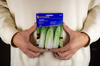 Kapusta Pekińska Michihili – Kiepenkerl