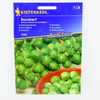 Brukselka Roodnerf Brassica oleracea var. gemmifera