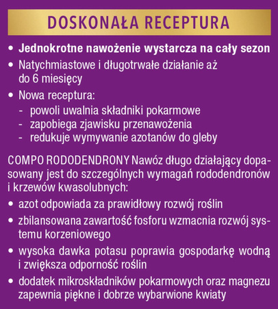 Domyślna nazwa