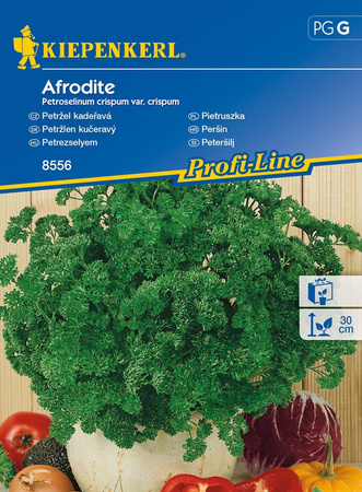 Pietruszka Afrodite Kiepenkerl