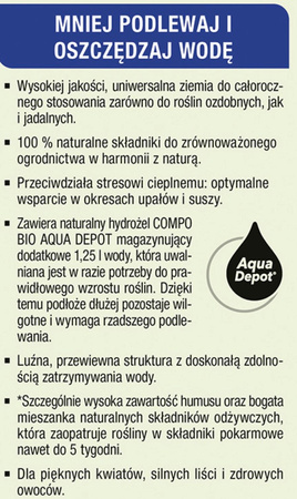Domyślna nazwa