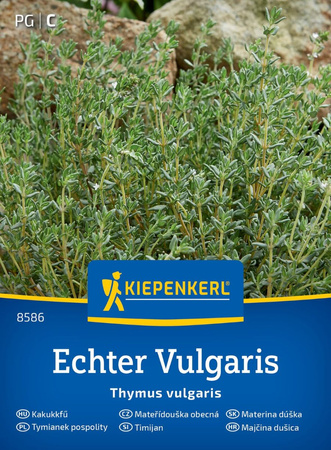 Tymianek Wieloletni Kiepenkerl