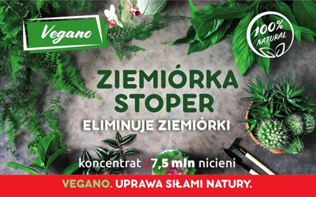 Domyślna nazwa