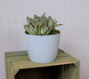 Osłonka-Doniczka Magnolia Eco Wood 260 Jumper Zielony Leśny