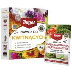 Domyślna nazwa