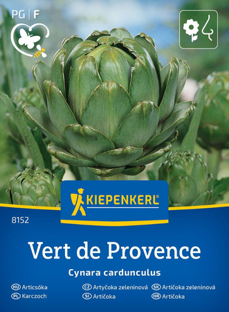 Karczoch zwyczajny Vert de Provence Cynara cardunculus var. scolymus
