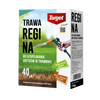 Regina 1 kg nasiona trawy do uzupełniania ubytków w trawniku