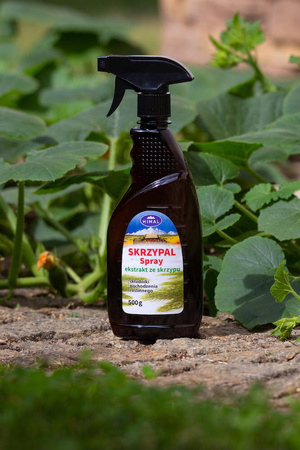 Skrzypal spray – stymulator wzrostu ze skrzypu polnego – 500 ml