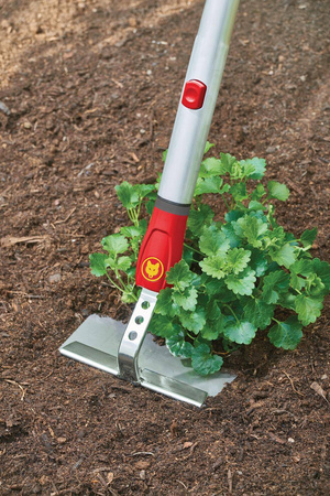 Motyka graca 15 cm HW-M – Multi-Star – Wolf Garten