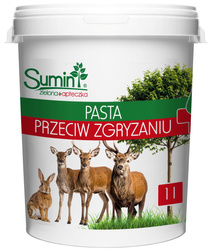 Domyślna nazwa