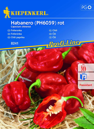 Papryka Habanero czerwona - Kiepenkerl