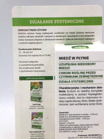 Domyślna nazwa