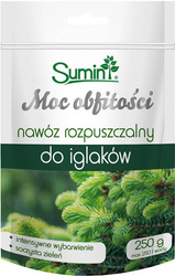 Domyślna nazwa