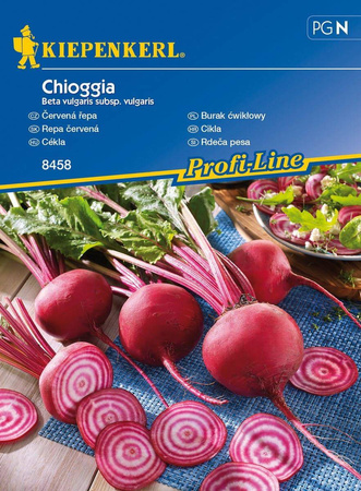 Burak ćwikłowy Chioggia Beta vulgaris var. vulgaris