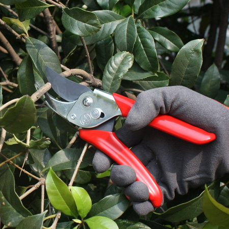 Sekator Dwuostrzowy