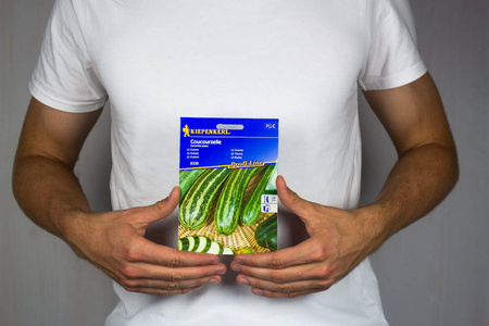 Cukinia Coucourzelle Cucurbita pepo
