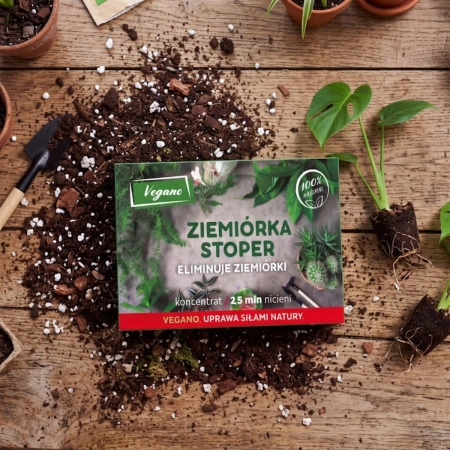 Domyślna nazwa