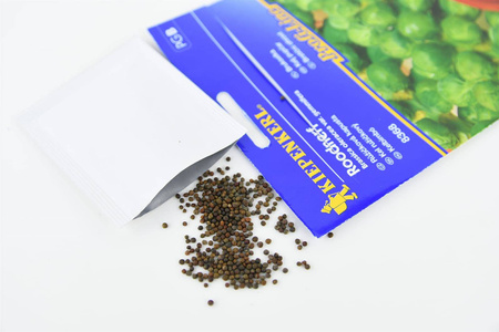Brukselka Roodnerf Brassica oleracea var. gemmifera