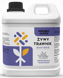 Domyślna nazwa