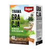 Hobby Gracja 1 kg nasiona trawy do trawników ozdobnych
