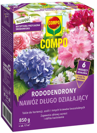 Domyślna nazwa