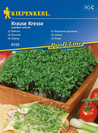 Rzeżucha ogrodowa Krause Kresse Lepidium sativum