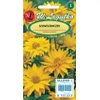 Słoneczniczek Heliopsis – żółty – 0,5 g Legutko