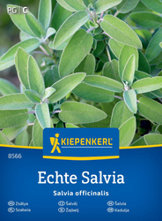 Szałwia Salvia officinalis