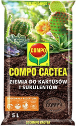 Domyślna nazwa