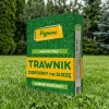 Nasiona trawy – Vegano – trawnik samonawożący – 1 kg Target