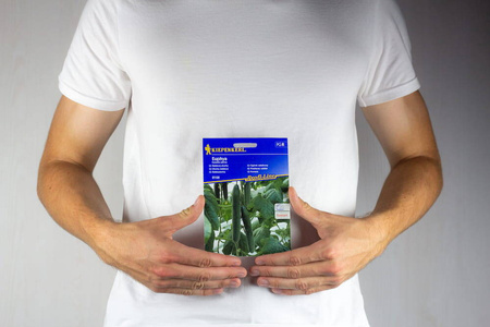 Ogórek sałatkowy F1 Euphya Cucumis sativus