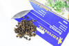 Ogórecznik lekarski jednoroczny Borago officinalis